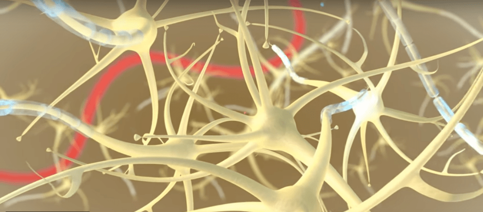 prion diseases medical animation