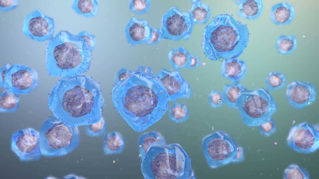 Medical animation of nanoparticles for drug delivery in cancer treatment