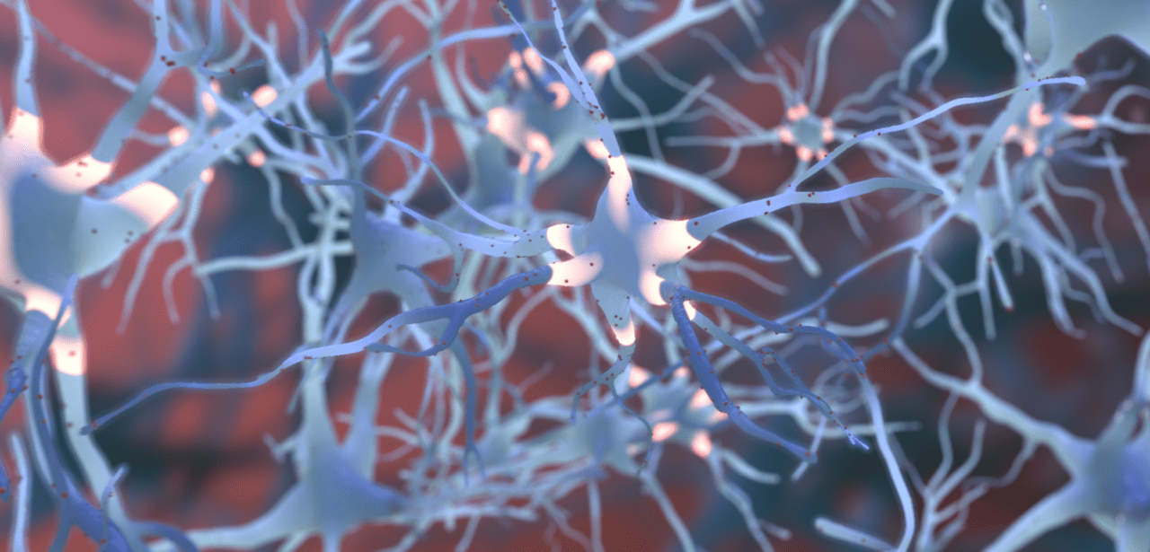 neuron medical animation