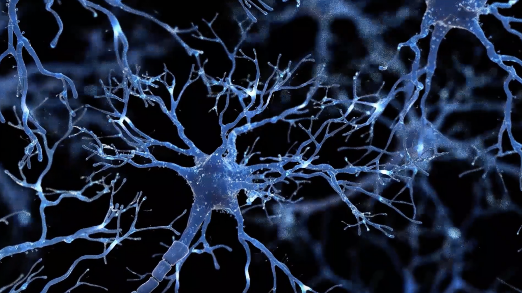 Neuromodulation