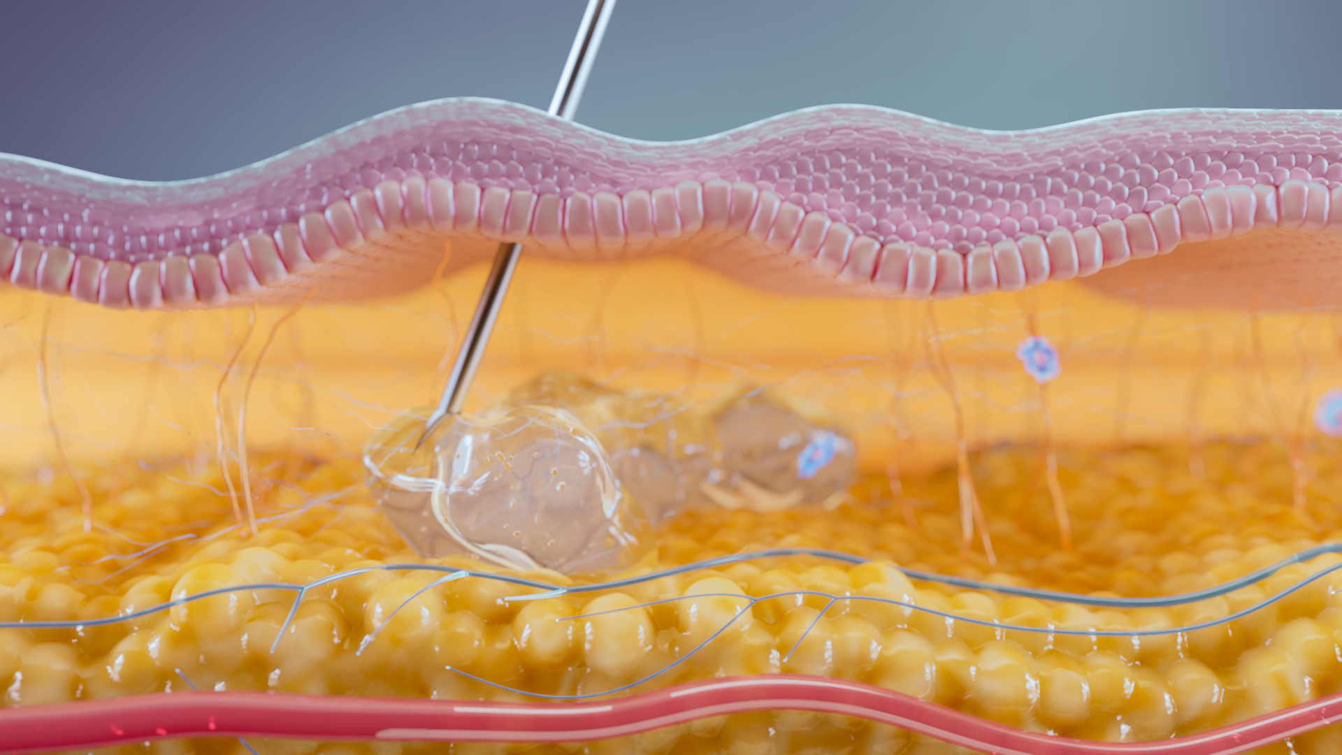Why Aesthetic Businesses Should Use Medical Animation