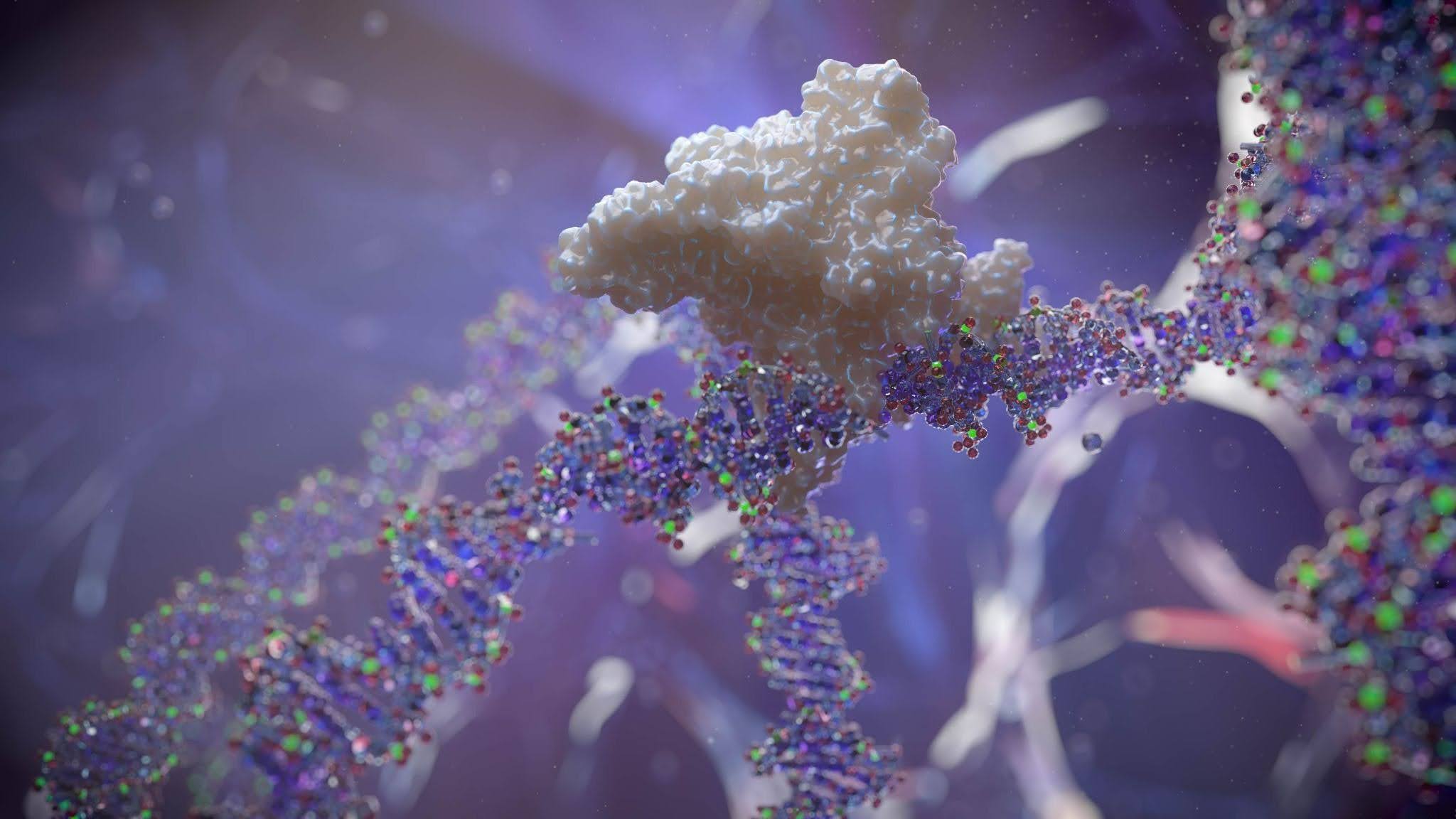The Impact of 3D Mechanism-of-Action Animation on Capital and Grant Acquisition